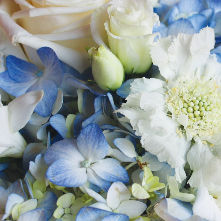 Easter Bunny at Valley Flowers